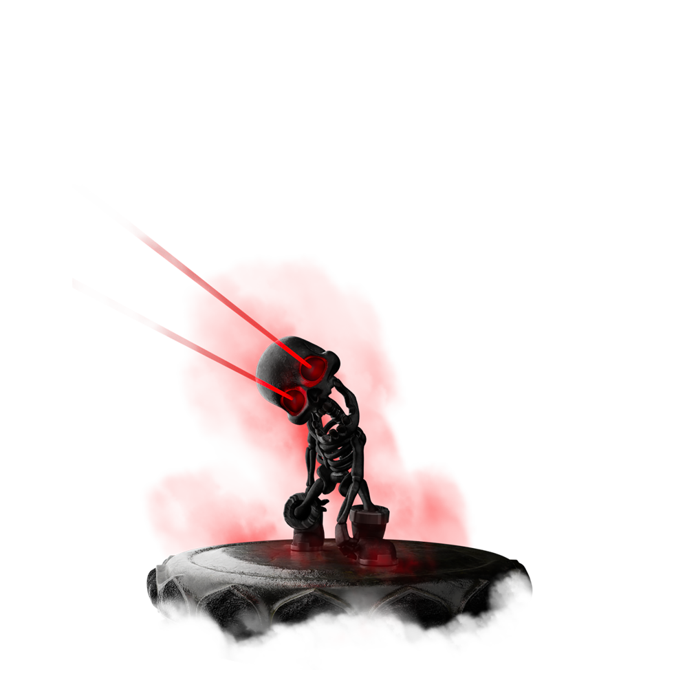 MN_013_skeleton_D