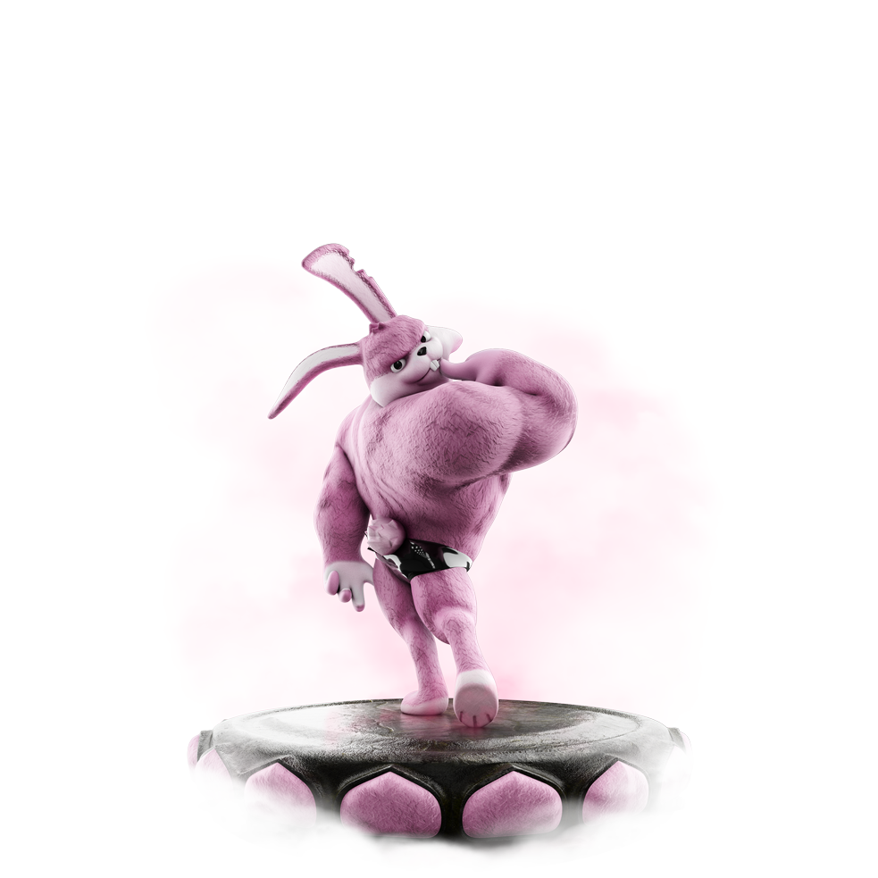 MN_017_bunny_B